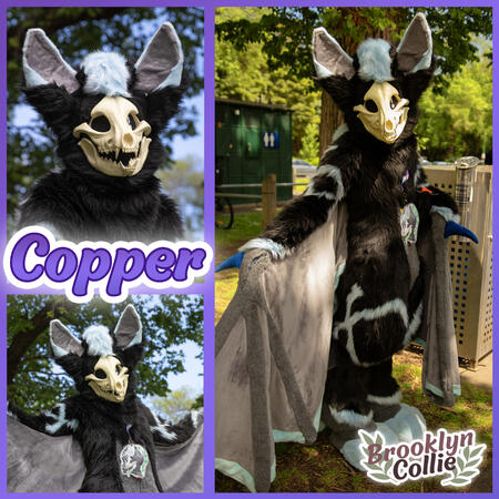 Copper - Completed 2019