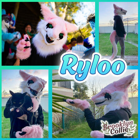 Ryloo - Completed 2023