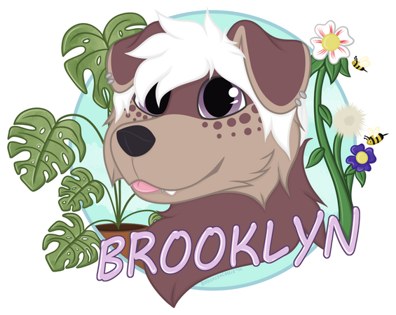 Brooklyn - Personal